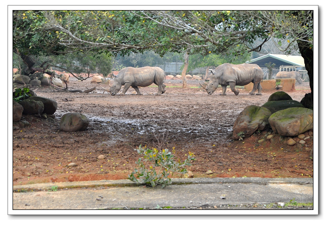 六福村主題樂園，野生動物園區