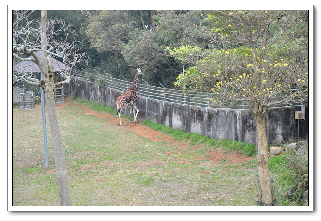 六福村主題樂園，野生動物園區