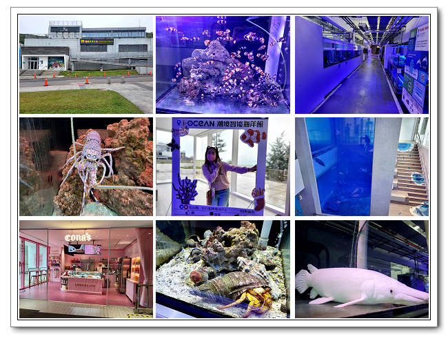 潮境智能海洋館，多樣海洋生態