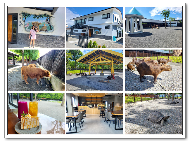 樹懶餐廳萌寵樂園，超可愛動物園區