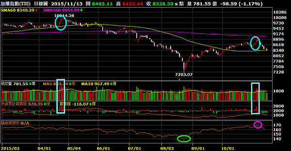 加權指數_日線圖（激情過後）2015.11.13