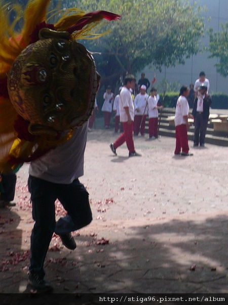 P1020652_renamed.jpg