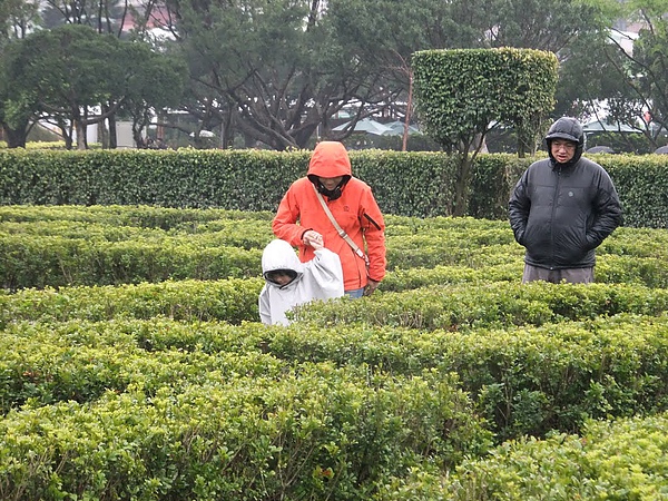 花博迷宮.jpg