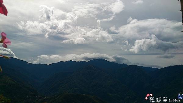 1020731清淨夢幻山林_窗外景 (6).jpg