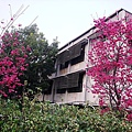 20110314 039.jpg