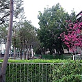 20110314 046.jpg