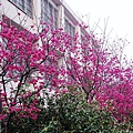 20110314 029.jpg