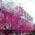 20110314 032.jpg