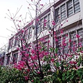 20110314 025.jpg