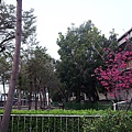 20110314 047.jpg