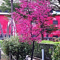 20110314 051.jpg