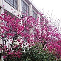 20110314 028.jpg