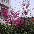 20110314 026.jpg