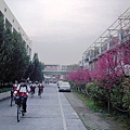 20110314 027.jpg