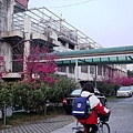 20110314 042.jpg