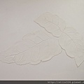 IMG_1147.JPG