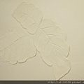 IMG_1154.JPG