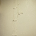 IMG_1156.JPG