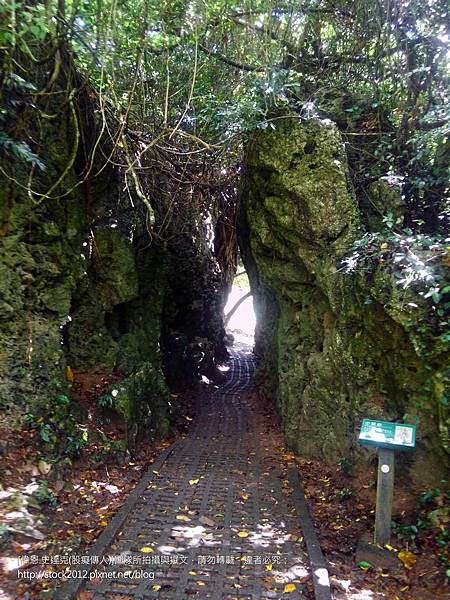 [屏東旅遊]墾丁社頂自然公園步道_珊瑚礁奇景與豐富動植物生態,梅花鹿,賞鷹,凌霄亭,螢火蟲(門票免費,夜間導覽,毛柿林,民宿,墾丁森林國家公園)003_小裂谷