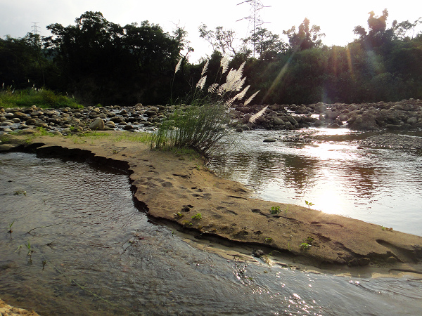 20130928 溪釣-11.JPG