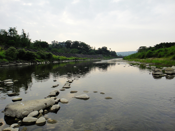 20140416 fly fishing 007.JPG