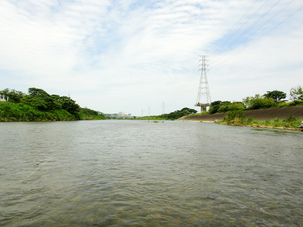 20140525 Fiy fishing 001.JPG