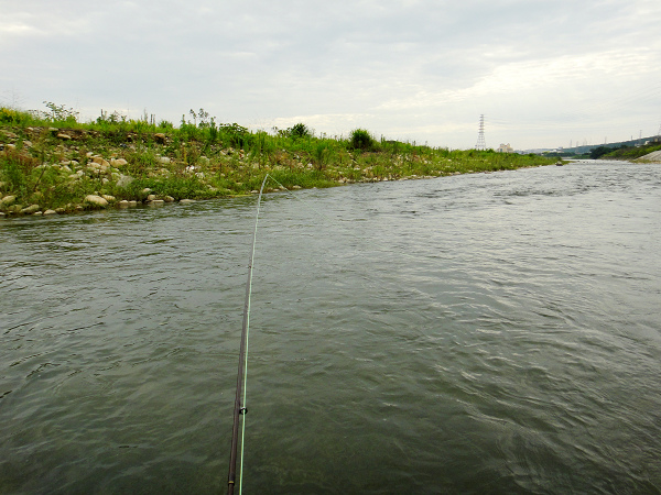 20140525 Fiy fishing 017.JPG