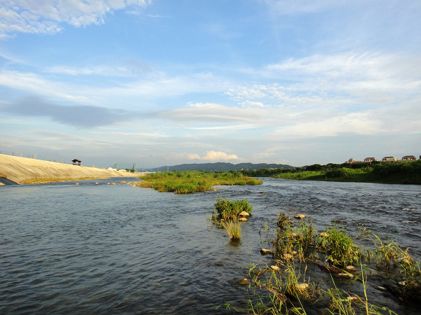 20140525 Fiy fishing 030.JPG