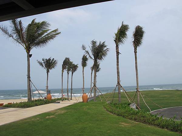 IMG_2301 IMG_2301