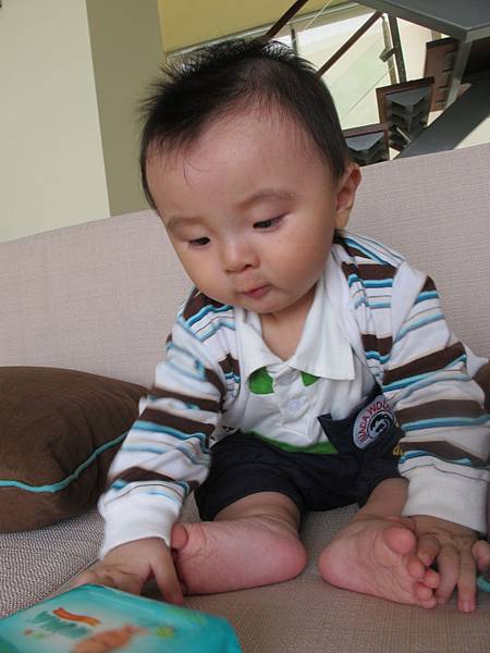 IMG_2315 IMG_2315