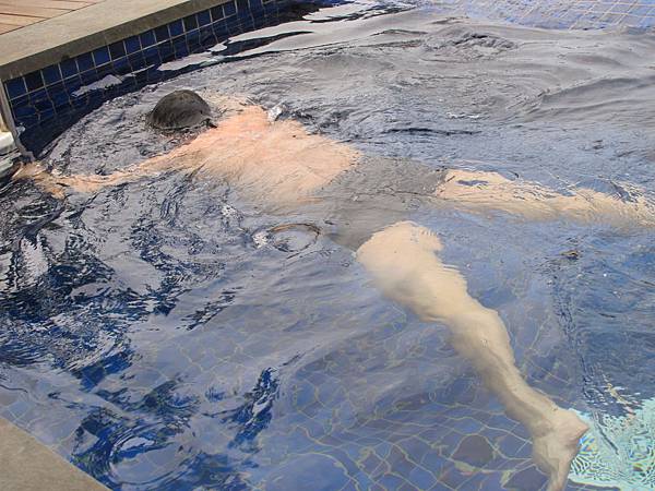 IMG_2326 IMG_2326
