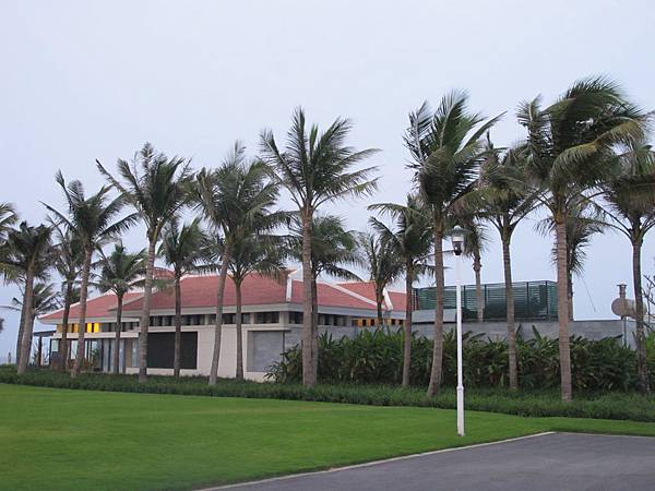 IMG_2381 IMG_2381