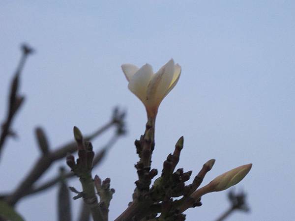 IMG_2384 IMG_2384
