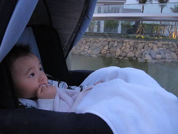 IMG_2394 IMG_2394