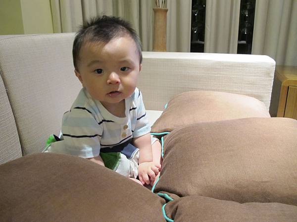 IMG_2401 IMG_2401