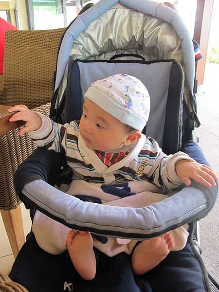 IMG_2431 IMG_2431