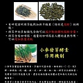 181健康管理俱樂部-解油定成分