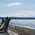 2015 Camano Island-015_web.jpg