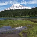 2015 Mr Rainier-012_web.jpg