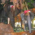 Rainforest Cafe