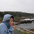 Cypress Point ( 好悽涼~ )