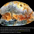 Sagenite agate(蘇必略湖-火山毛)01_David Schuder.jpg