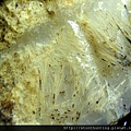 異象火山毛(Sagenite agate,Taiwan)G17736.jpg