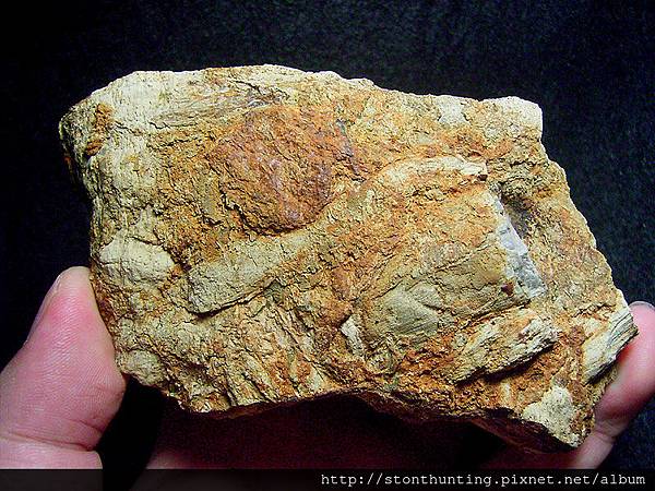 本土木化G23599.jpg 本土木化G23599.jpg