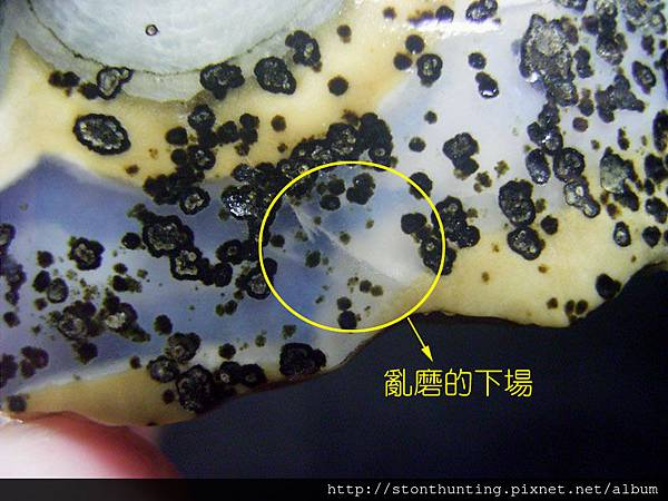 藍光文石G30613.jpg 藍光文石G30613.jpg