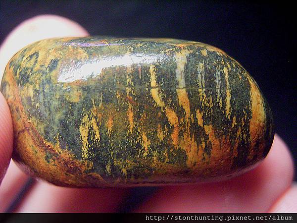 金山_木化石G32637.jpg 金山_木化石G32637.jpg