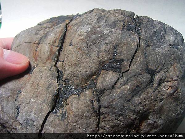 碳木化(裂)06.jpg