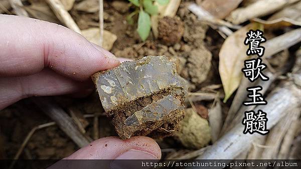 2020_05_鶯歌玉髓.JPG 2020_05_鶯歌玉髓.JPG