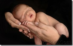 [wallcoo_com]_newborn_baby_Photo_A pair of hands holding a sleeping baby_ISPC006054