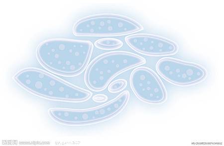 stem cell stem cell